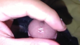 Polla latina pide ser pajeada a media noche