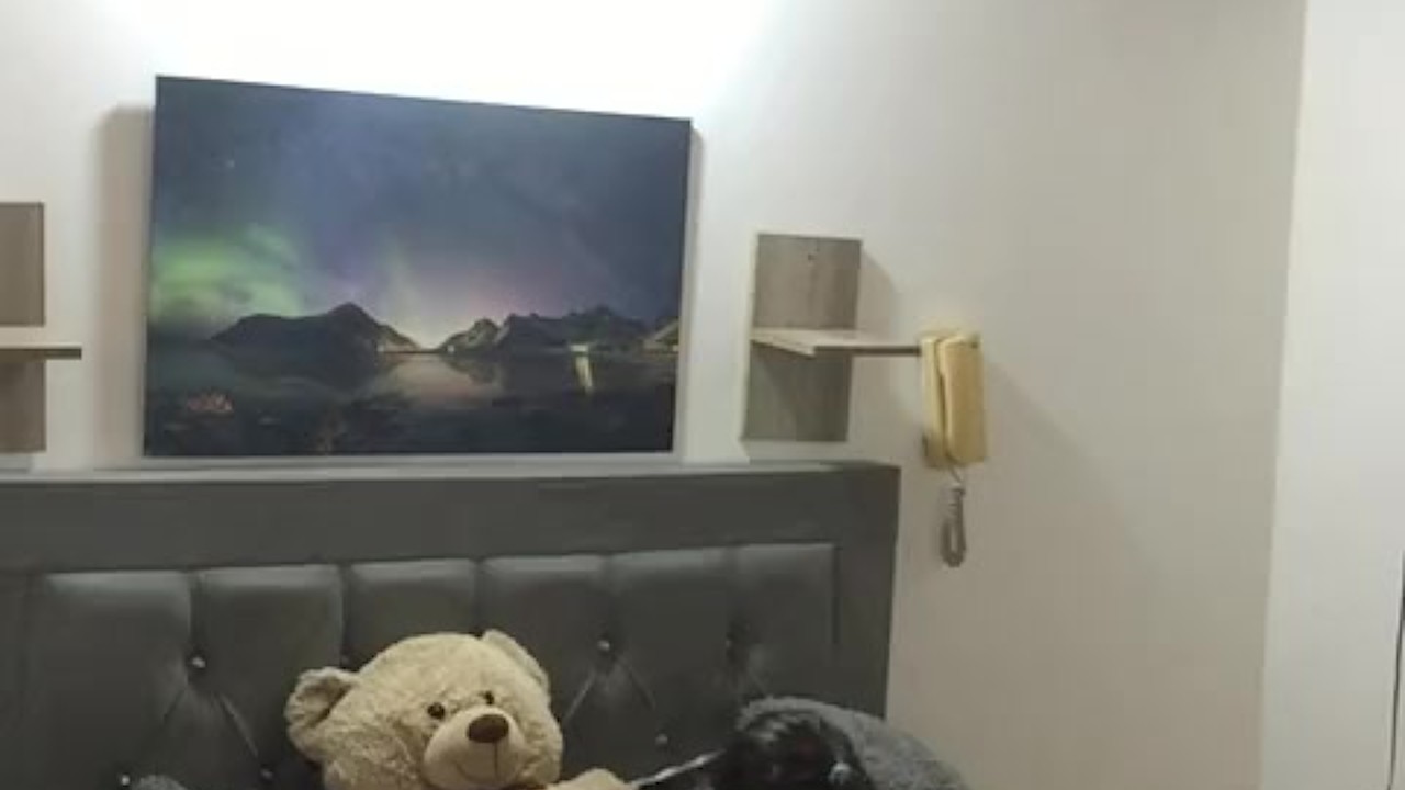 girl with toys fucks her pussy alone. - Free Sex Video - RedTube