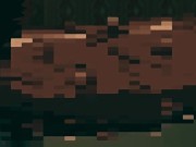 Hot Sweetie With Hairy Pussy Likes To Have Orgasms In Reverse Cowgirl 2/16