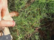 Just a golden shower on some grass.