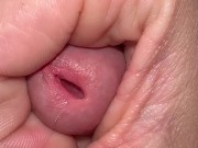macroprecum. - Screenshot 1 of 16 - HD