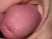 macroprecum. - Screenshot 16 of 16 - HD