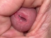 macroprecum. - Screenshot 7 of 16 - Solo