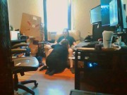 Voyeur Shot of Heather Kane Making Cock Gush! 2/16