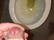 Pissing For You 16/16