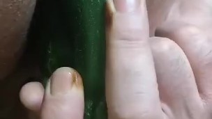 Cocomero anal..........