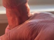 Good Morning Sunshine 11/16