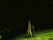 Dominant males have an important duty of care towards the dumb mindless whores 12/16