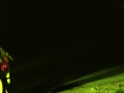 Dominant males have an important duty of care towards the dumb mindless whores 16/16