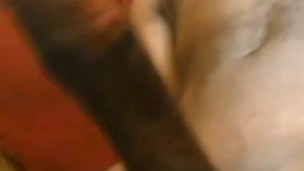 SLAPPING MY HARD COCK 😯 SO HORNY