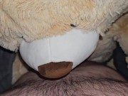 Fuckin my teddy bears 🧸 4/16