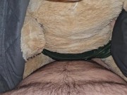 Fuckin my teddy bears 🧸 5/16