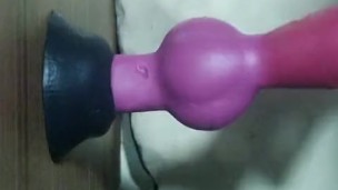 Rex toy: Taking the knot