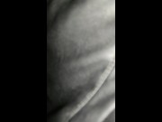 Keep your dumb animals in check with the correct equipment 3/16