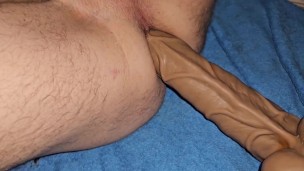 Fuck Asshole with Horsecock and Ballstretcher