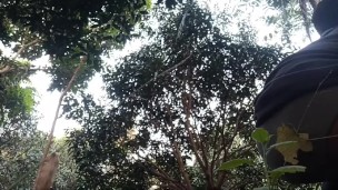 Desi boy cum out outside | village boy | Desi hub