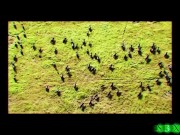 S3XUS Naturally busty beauty Melanie Marie is craving a big cock to fill her up 1/16