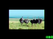 S3XUS Naturally busty beauty Melanie Marie is craving a big cock to fill her up 2/16