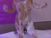 Beautiful stepmother in the motel jacuzzi masturbates before fucking her