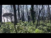 Sabrina Ice mostra le tette e ci prova con Axel Ramirez e con i suoi amici 10/16