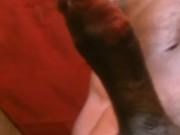 AFRICAN CUCKOLD HUSBAND BIG BLACK COCK - Screenshot 8 of 16 - Big Cock