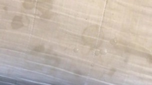 Japanese tiny penis poor ejaculation