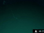 Hot Masseuse Takes Care Of A Big Dick SPANISH SUBTITLES 7/16