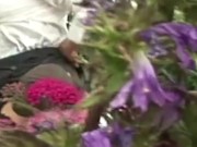 peeking at this plumper beauty 2/16