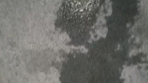 Horny pee on the carpet