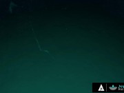 NURU MASSAGE - Gorgeous Masseuse Takes Care Of Her Client's Dick With Her Pussy FRENCH SUBTITLES 7/16