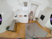 TmwVRnet - Vilora Efi 1/16