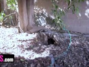 Wild Times in Wonderland 2/16