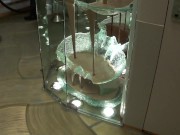 Chocolate Fountain Las Vegas 12/16