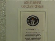 Chocolate Fountain Las Vegas 14/16