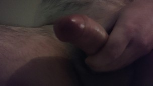 Paja y corrida de Oso peludo