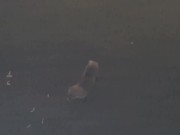 ADHD man runs round london!!! 16/16