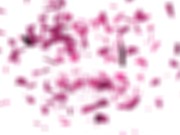 Mazy's Rimjob Mania 14/16