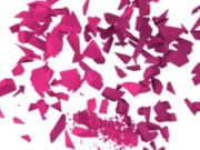 Peeping Reward 16/16