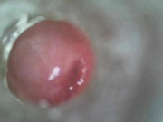 View Inside Fleshlight 11/16