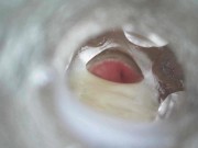 View Inside Fleshlight 16/16