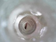 View Inside Fleshlight 6/16