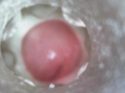View Inside Fleshlight 8/16