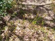 I swear I'm over ití 10/16