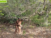 strange to help me go upstairs so I can give him a blowjob 11/16