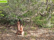 strange to help me go upstairs so I can give him a blowjob 12/16