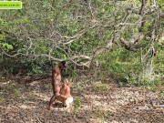 strange to help me go upstairs so I can give him a blowjob 13/16