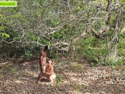 strange to help me go upstairs so I can give him a blowjob 14/16