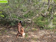 strange to help me go upstairs so I can give him a blowjob 15/16