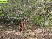 strange to help me go upstairs so I can give him a blowjob 16/16