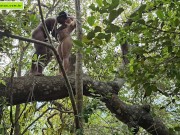 strange to help me go upstairs so I can give him a blowjob 6/16